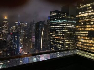 dear irving on Hudson Rooftop Bar new york photo