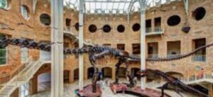 Fernbank Museum atlanta