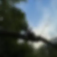 Alexa, 24